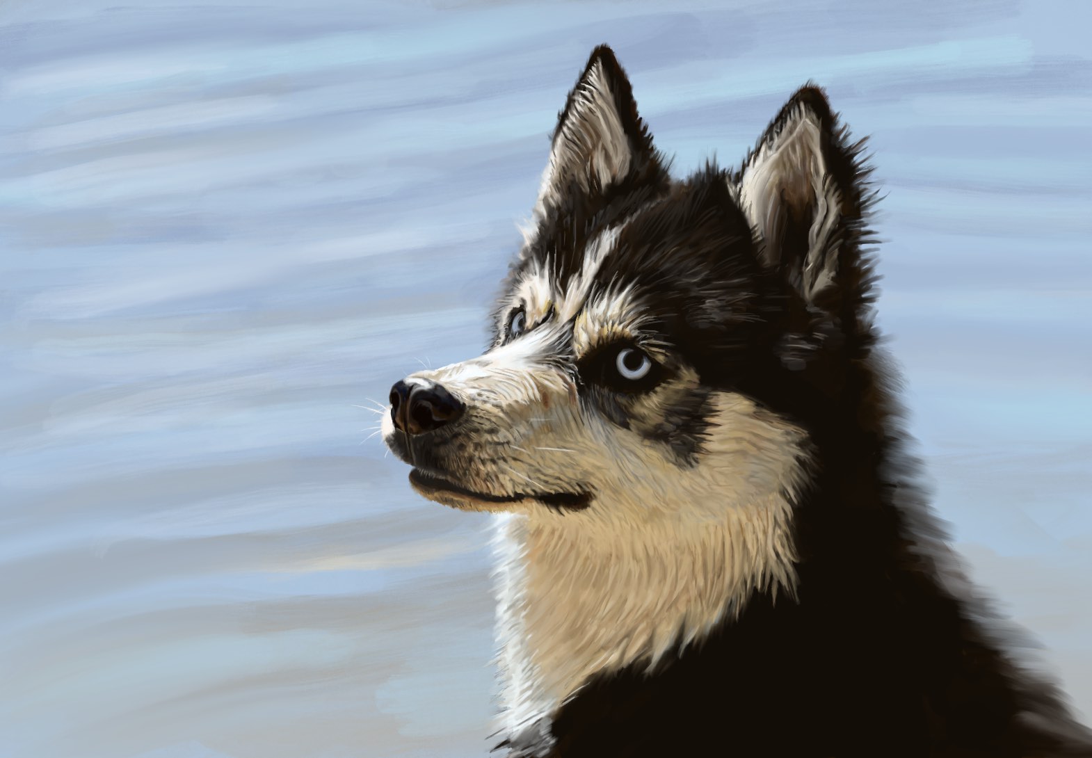Husky Doggie