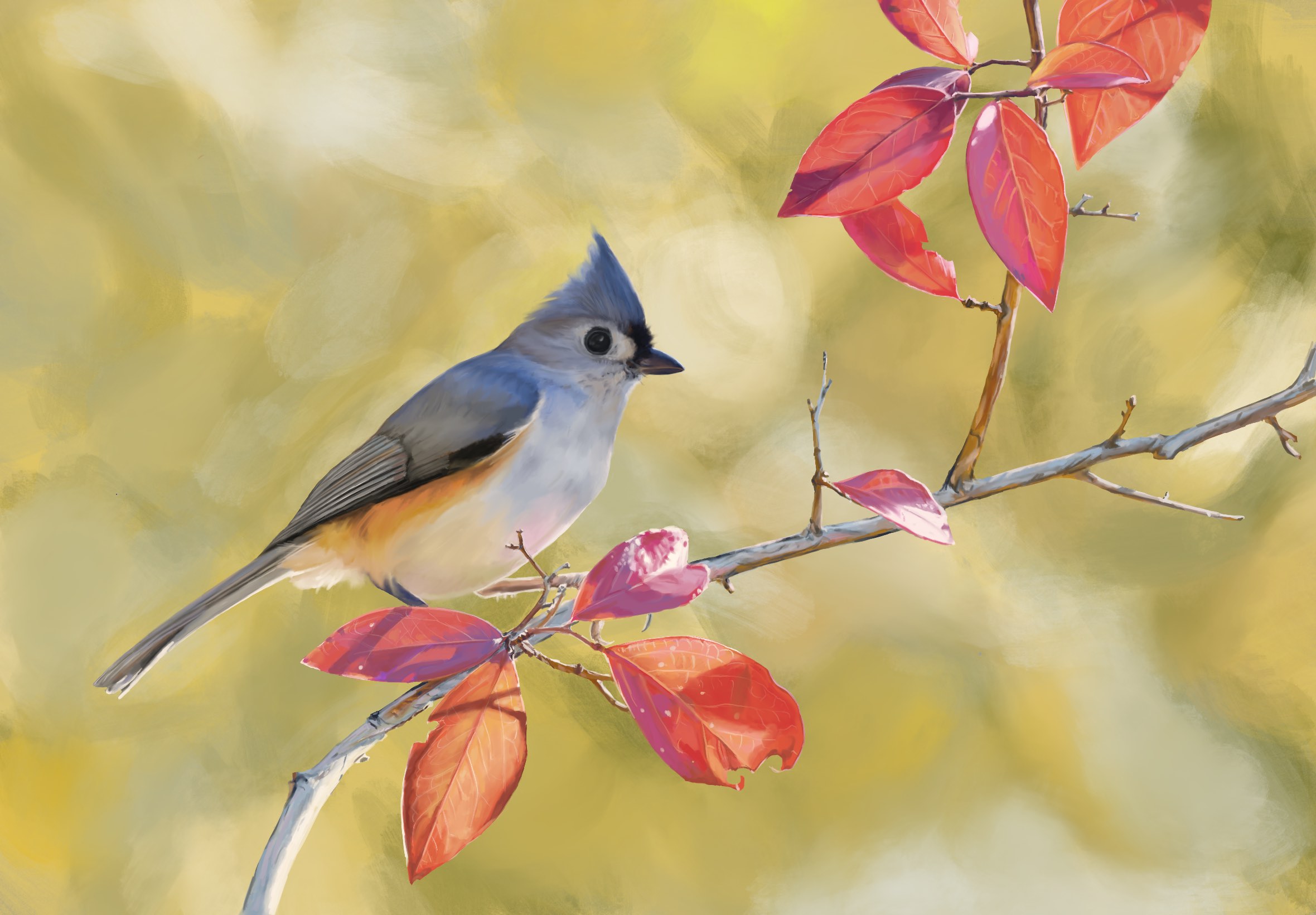 Tufted Titmouse